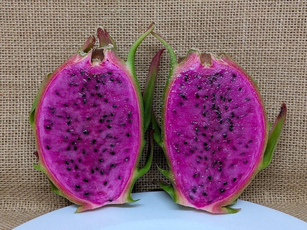 Ax dragon fruit picture